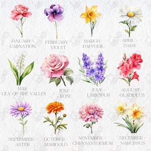 Aquarelle fleur pour le mois de naissance des cliparts, fleur pour le mois de naissance PNG, lot de cliparts fleurs pour le mois de naissance, anniversaire fleur Clipart, fleur de naissance PNG