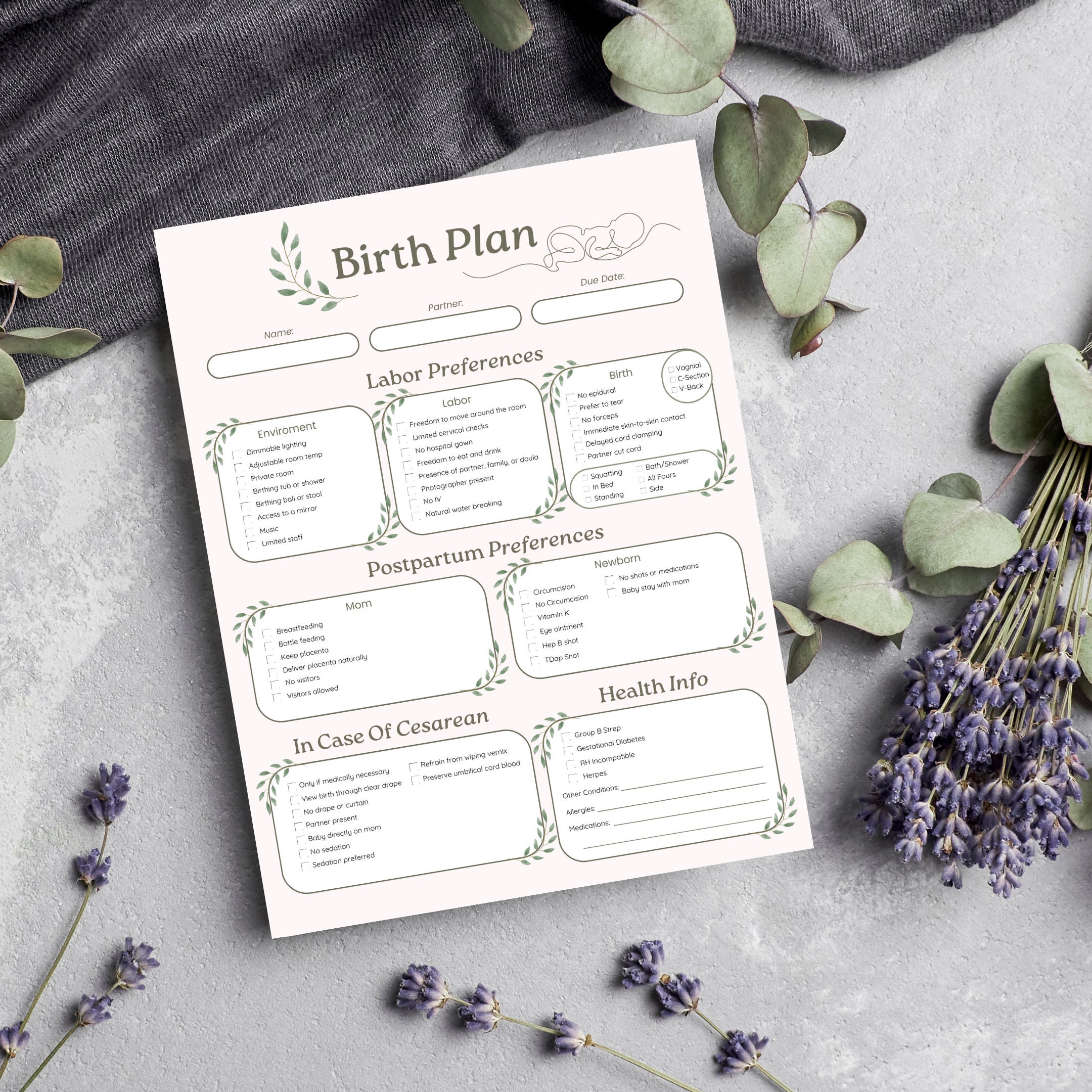 Editable Birth Plan Template: Pregnancy Planner Canva (digital Download ...