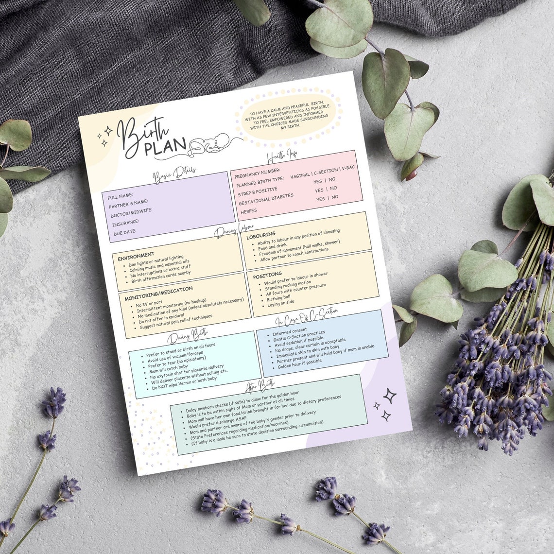 Editable Birth Plan Template Canva Birth Plan Checklist Etsy