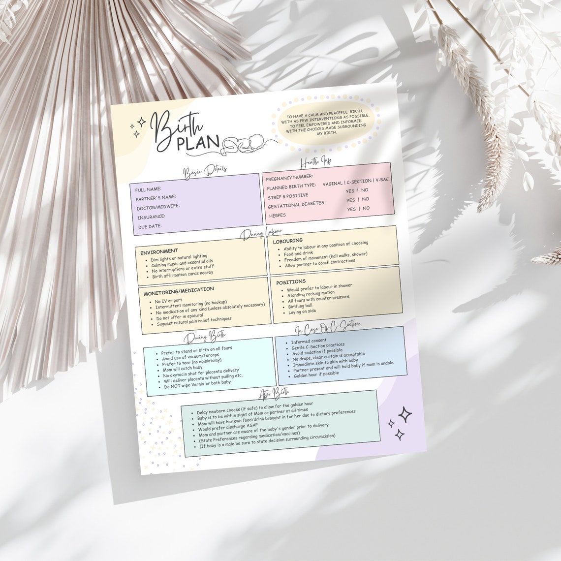 Editable Birth Plan Template Canva Birth Plan Checklist Etsy