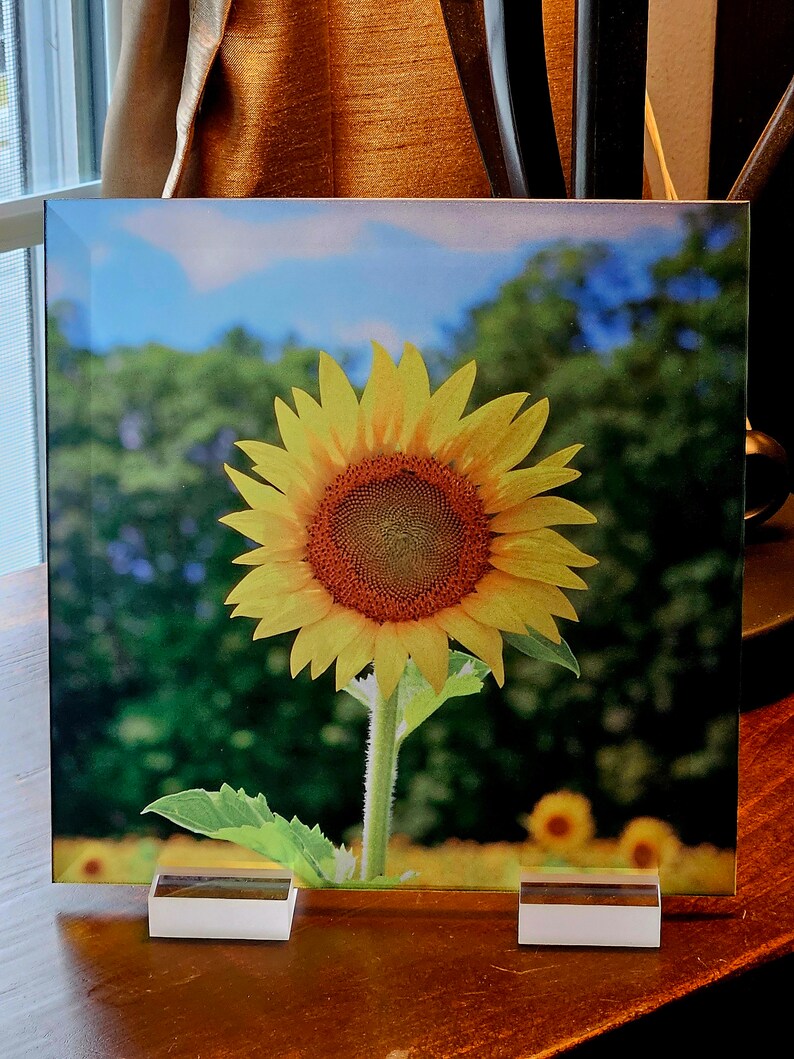Make-up-Tasche SunflowerGod – 24,6 X 17,8 Cm, Aus Baumwolle & Leinen, Mit Reißverschluss, Doppelseitig Bedruckt