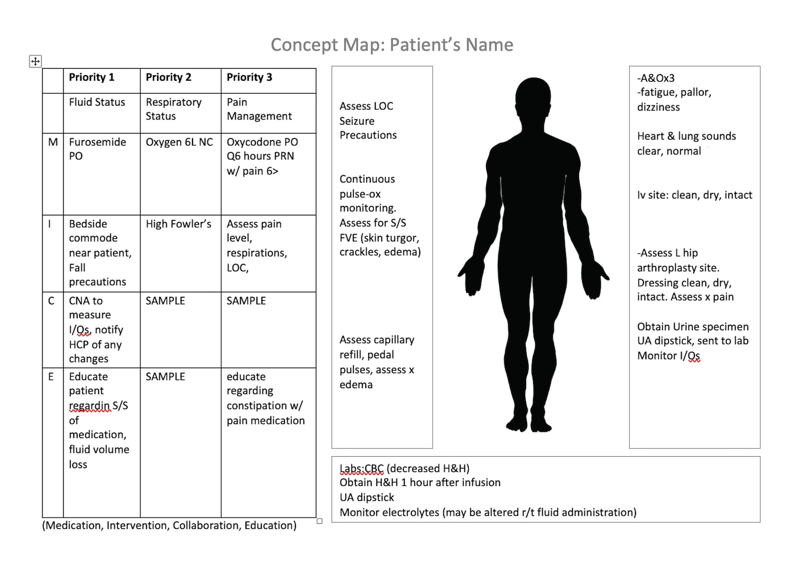 Nursing Concept Map for Case Studies - Etsy