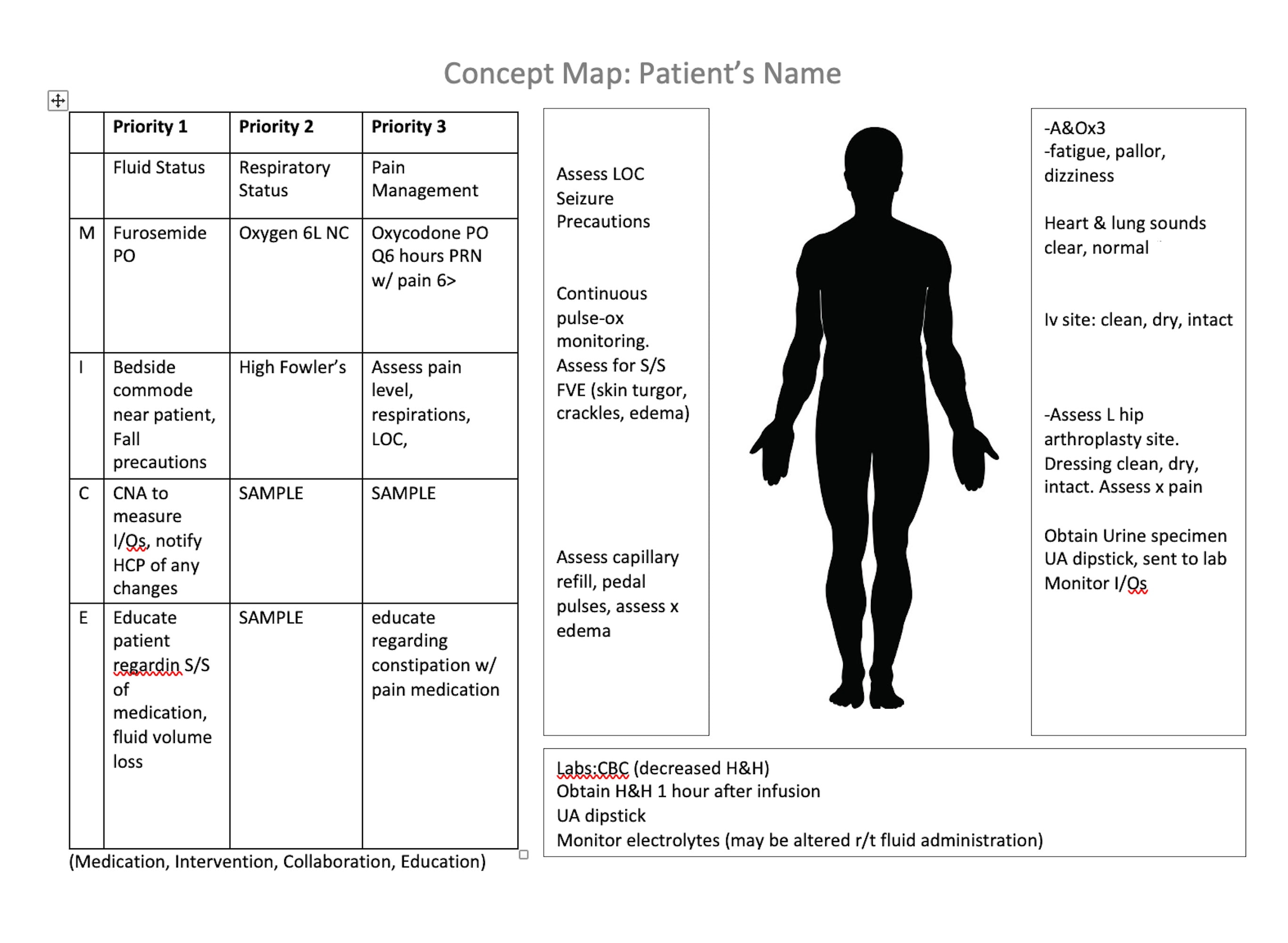 Nursing Concept Map for Case Studies - Etsy