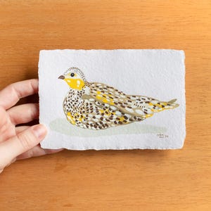 Ganga de arena, pájaro, pintura gouache original y única sobre papel hecho a mano