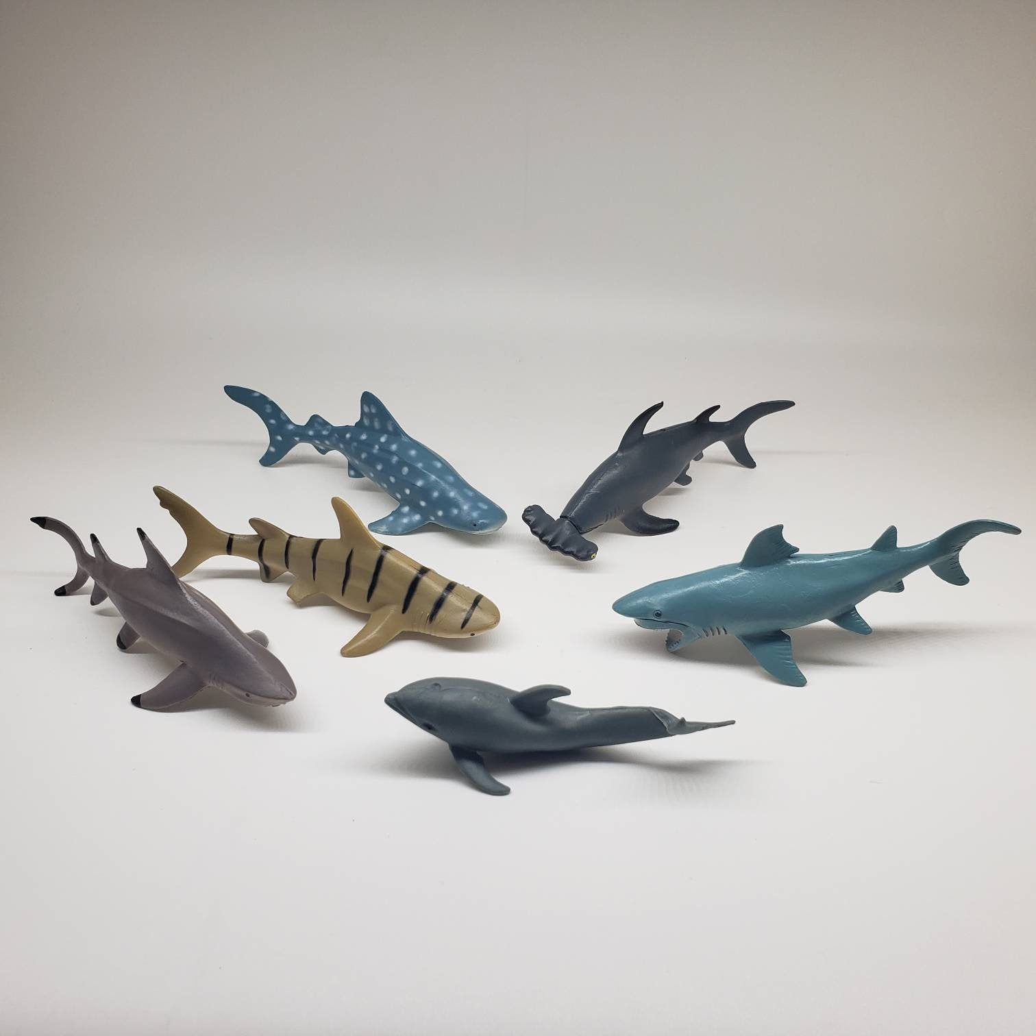 アミューズメント　非売品　とるとるキャッチャー　マスコットキーホルダー6こセット Shark Toy Lot - Etsy