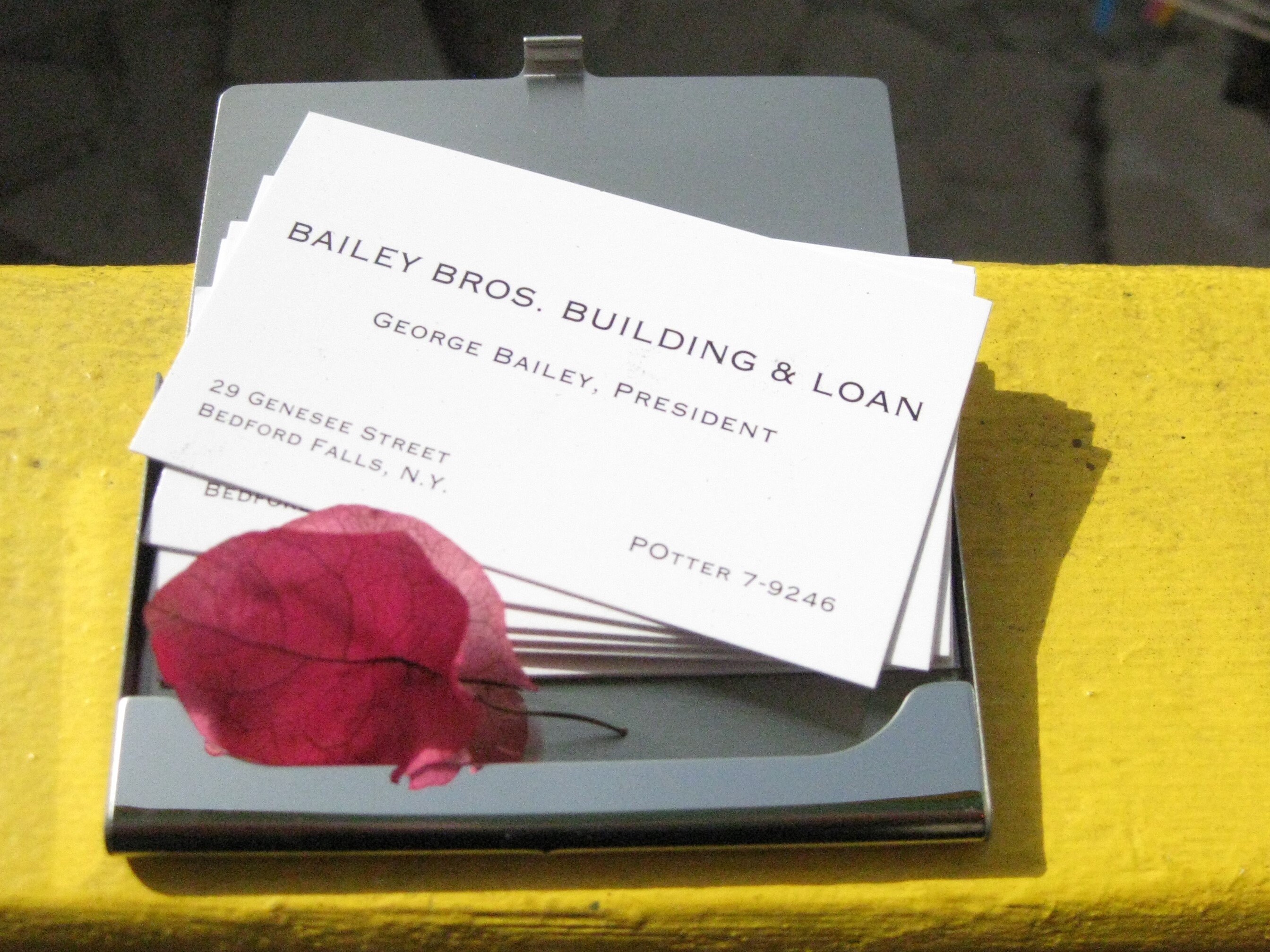 Es una vida lúdica Silver Engraved Business Card Case 10 Cards,