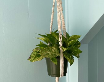 Macrame Plant Hanger