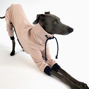 Stylish Sportswear for Italian Greyhounds / Comfortable and Lightweight Jumper / Pale Pink - Dark Blue Cuffs