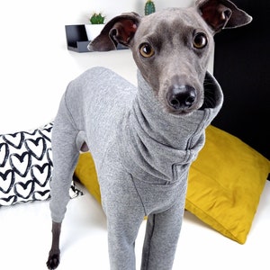 Winter Jumpsuit for Italian Greyhound / Warm & Comfortable / Stylish Italian Greyhound Clothing / Grey Melange