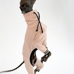 Stylish Sportswear for Italian Greyhounds / Comfortable and Lightweight Jumper / Pale Pink - Striped Black Cuffs