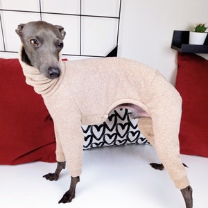 Warm & Soft Jumpsuit for Italian Greyhounds / High Quality Beige Melange Jumpsuit
