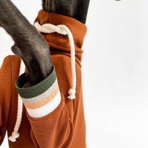 Stylish Sportswear for Italian Greyhounds / Comfortable and Lightweight Jumper / Caramel - Striped White Cuffs