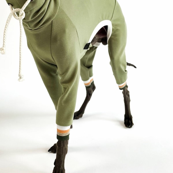 Stylish Sportswear for Italian Greyhounds / Comfortable and Lightweight Jumper / Pistacio - Striped White Cuffs