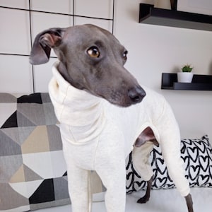 Winter Jumpsuit for Italian Greyhound / Warm & Comfortable / Stylish Italian Greyhound Clothing / Light Cream Melange