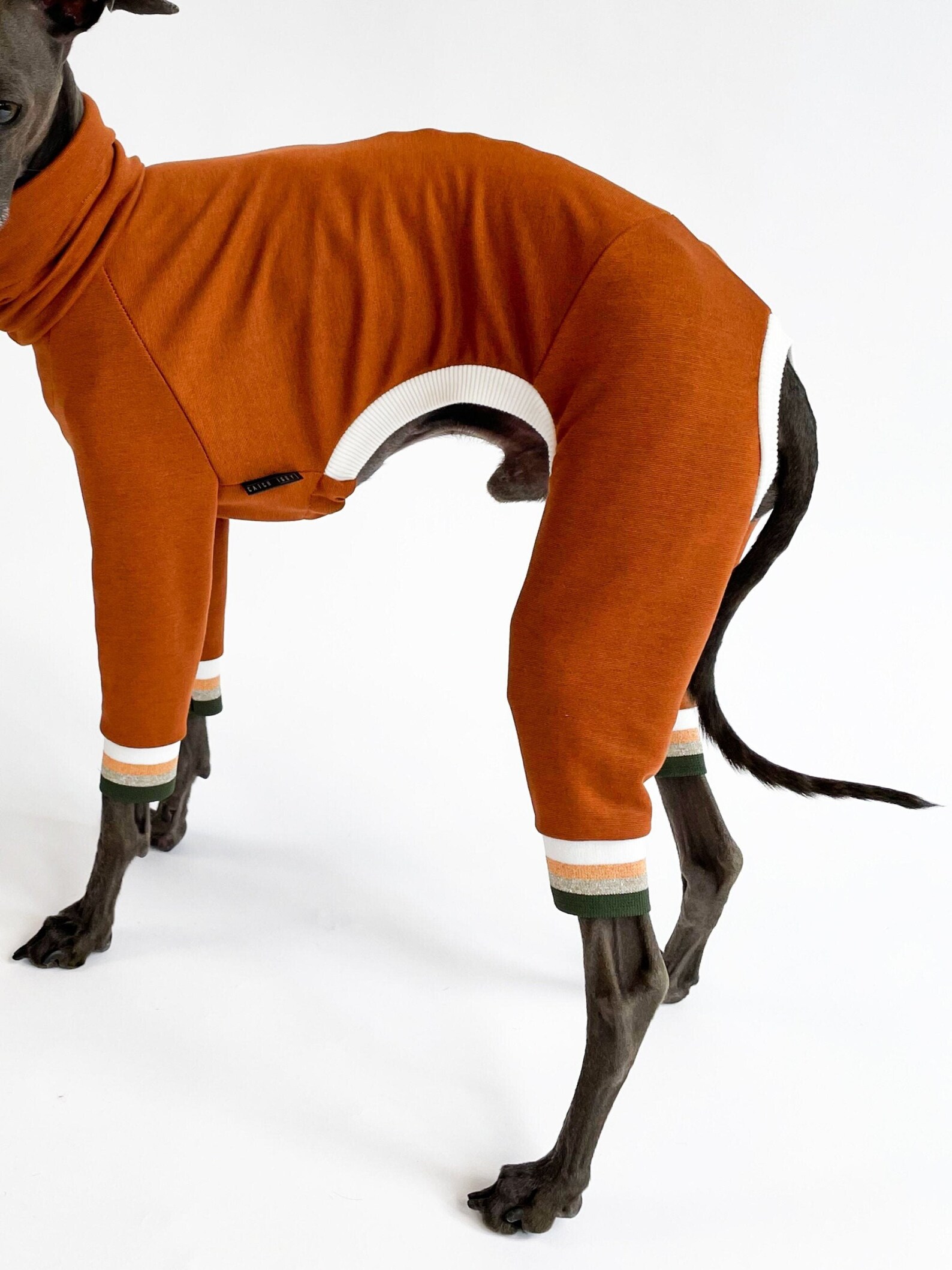 Combinaison Coton Moelleux Pour Lévriers Italiens, Whippets, Galgos - Pyjama Chaud XXL Violet