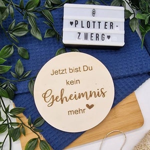 Schwangerschaftsverkündigung / Meilensteinkarte / Kein Geheimnis / Babyankündigung / Wir bekommen ein Baby / Schooting / Geschenk Holzschild