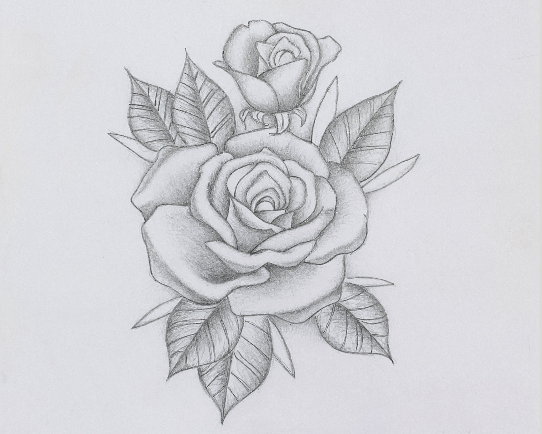 Delicate Pencil Rose Romantic Rose sketch Flower Drawing | Etsy