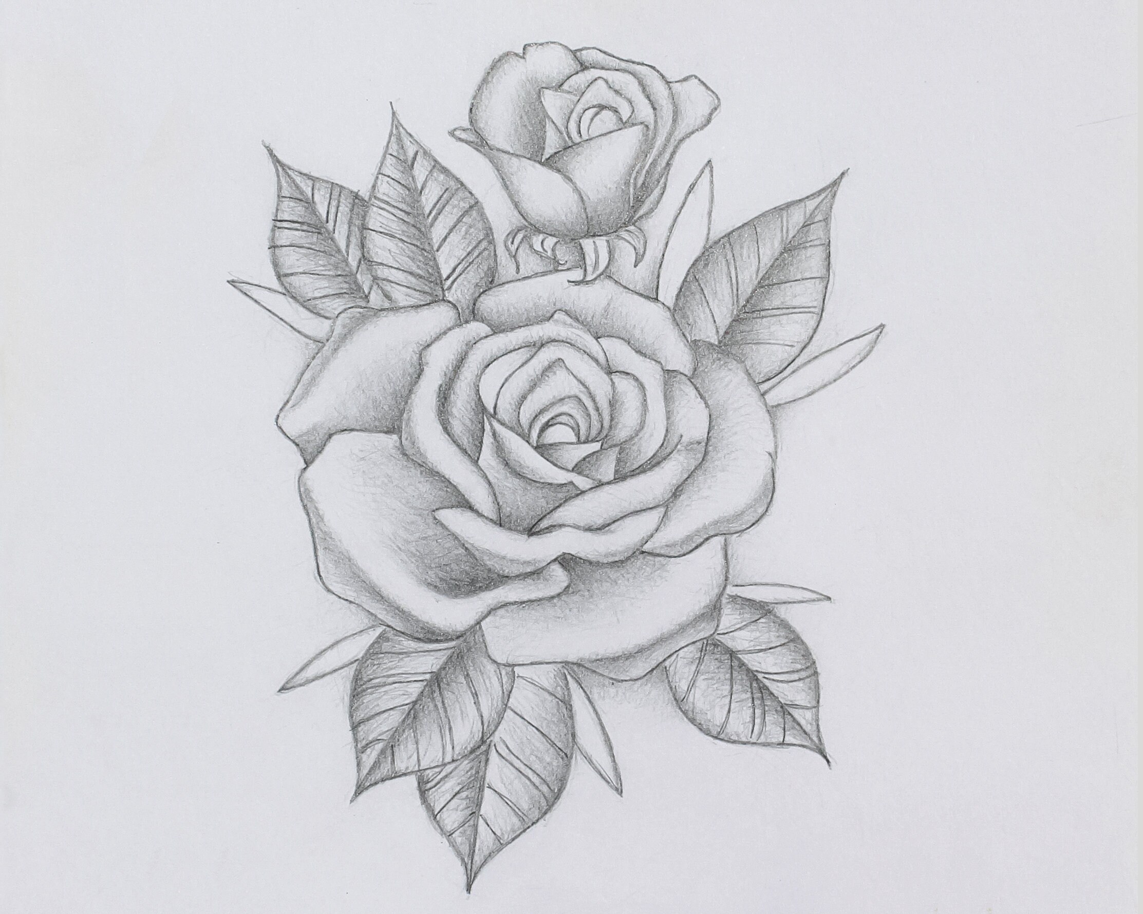 Rose Flower Sketch Design At Sandra Willis Blog Rose Flower Sketch Design At Sandra Willis Blog