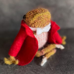 May include: A handmade, knitted owl figurine wearing a red felt coat, a white bow tie, and a pink sweater. The owl's head is brown and yellow, with a small black eye. The owl's feet are yellow and white.