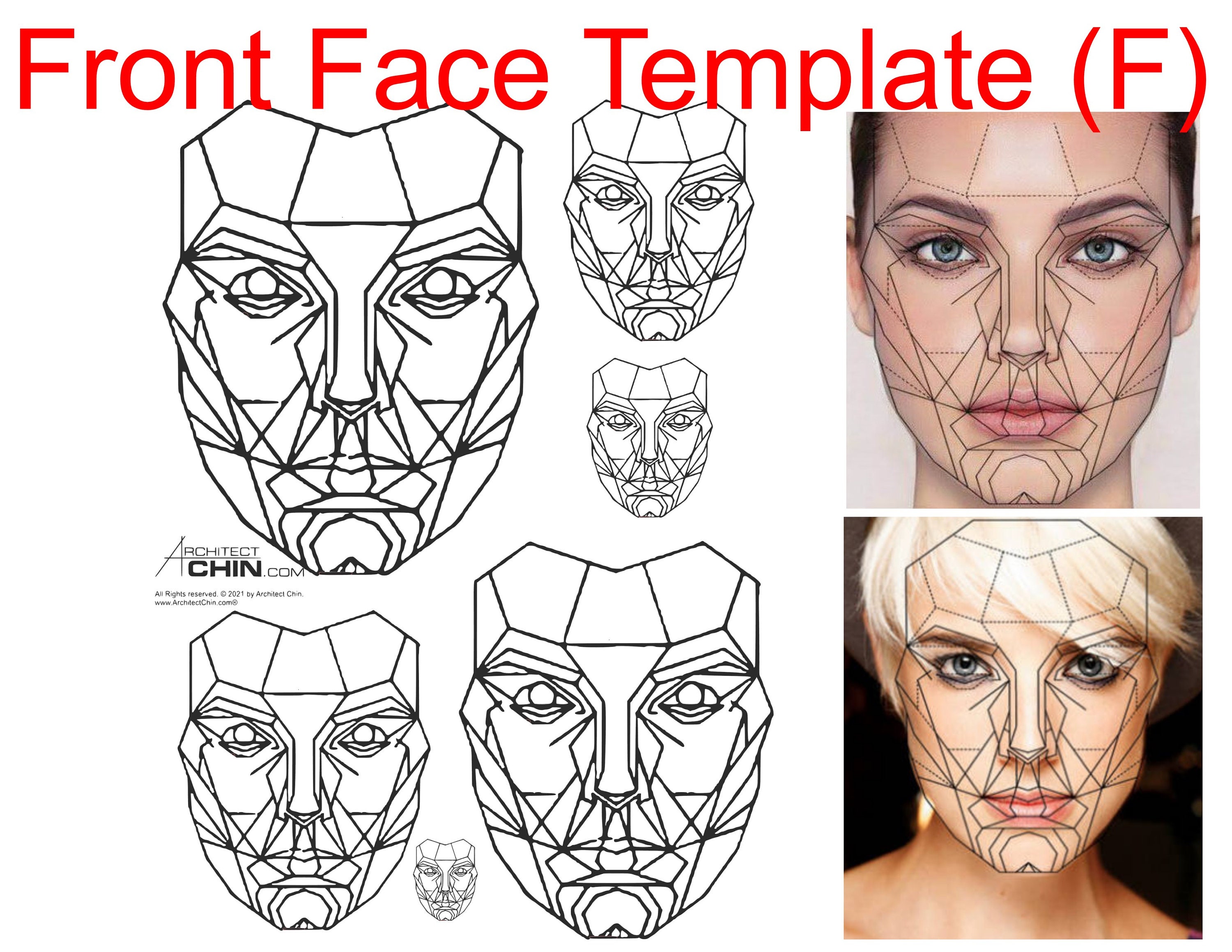 Female Face Template, Female Face Ratio, Female Face Grid, Front Face Female Face Template, Female Face Ratio, Female Face Grid, Front Face