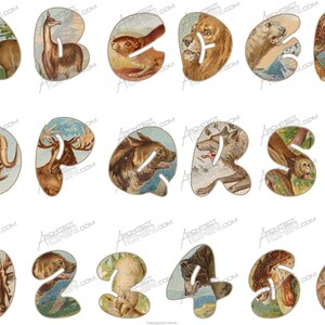 Animal Antique Letters, Animal Vintage Letters Alphabet, Vintage letter, Vintage Vinyl, vintage letter, Animal Safari, Animal Vintage, Vinyl