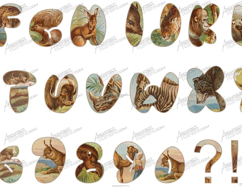 Animal Safari Animal Antique Letters Vinyl vintage letter Animal Vintage Vintage Vinyl Animal Vintage Letters Alphabet Vintage letter