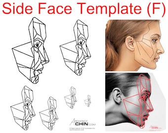 Female Face Template, Female Face Ratio, Female Face Grid, Side Face Template, Female Face Sketch, Golden Ratio Grid Template, Side Profile