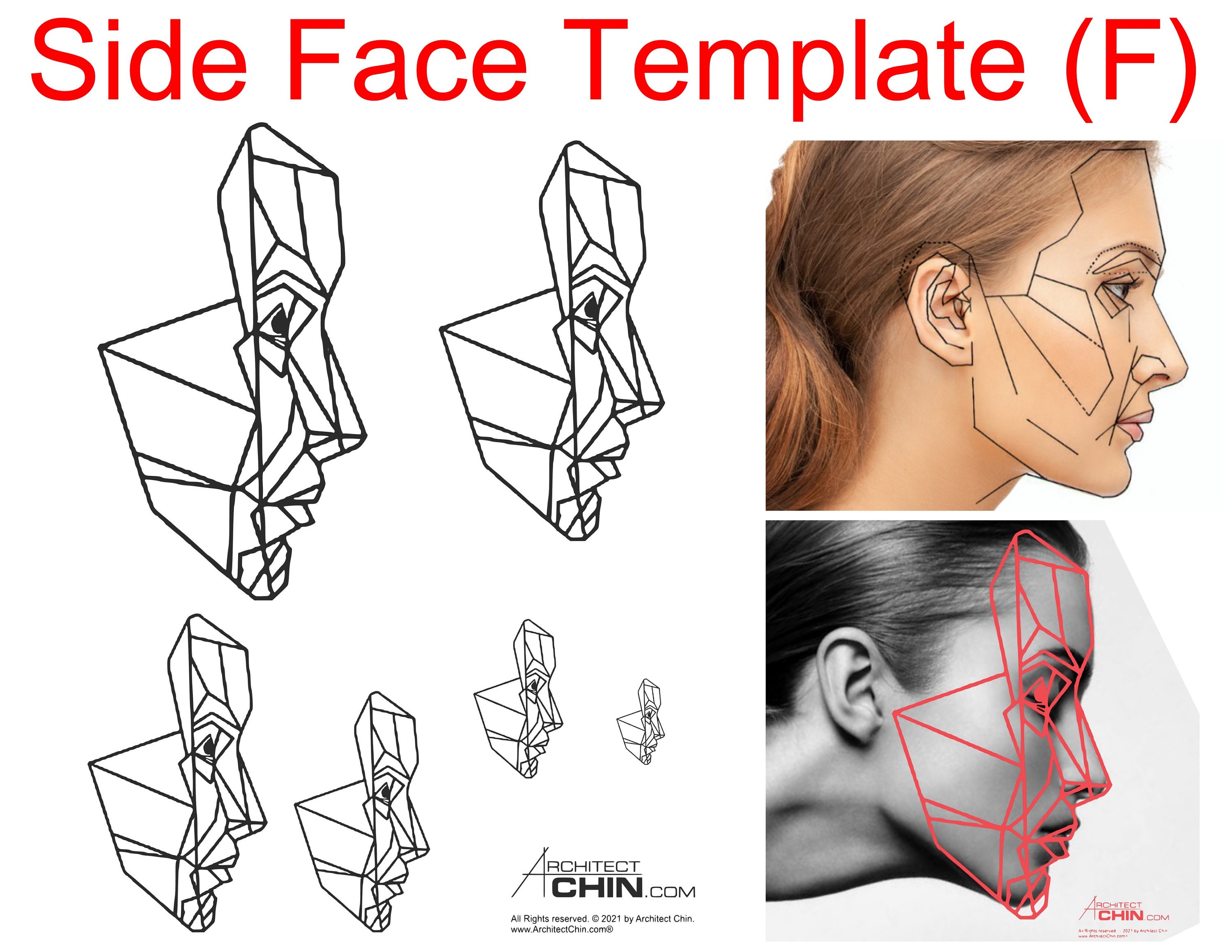 Female Face Template, Female Face Ratio, Female Face Grid, Side Face Female Face Template, Female Face Ratio, Female Face Grid, Side Face