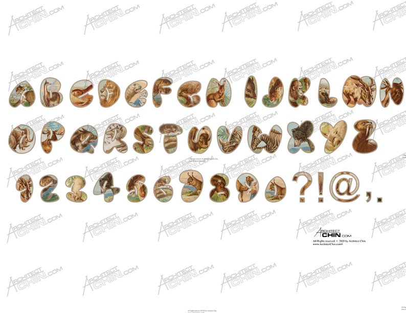 Animal Safari Animal Antique Letters Vinyl vintage letter Animal Vintage Vintage Vinyl Animal Vintage Letters Alphabet Vintage letter