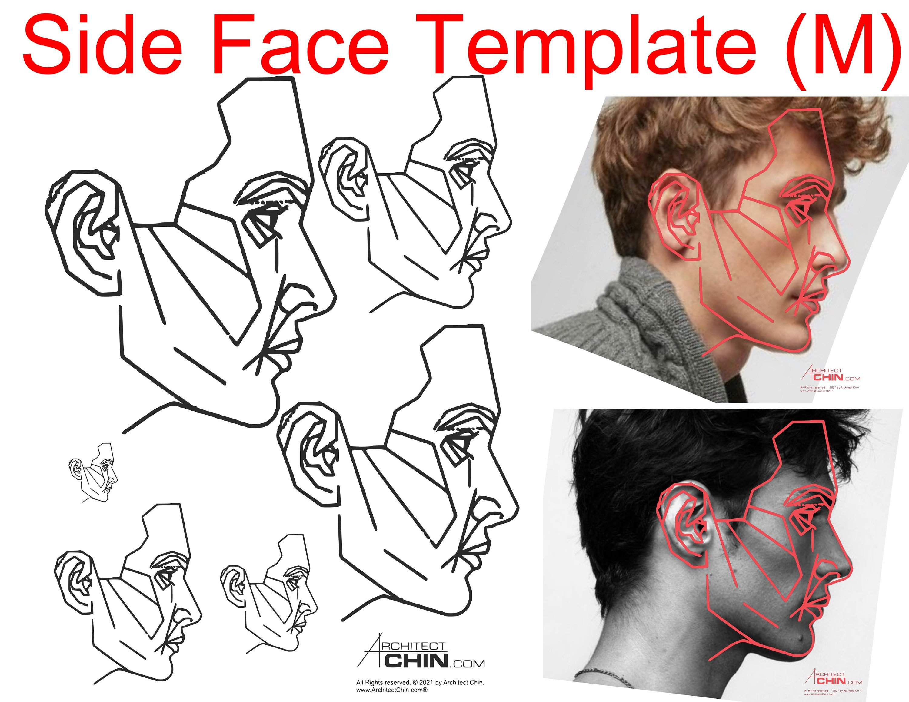 Male Face Template, Male Face Ratio, Male Face Grid, Side Face Template Male Face Template, Male Face Ratio, Male Face Grid, Side Face Template