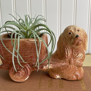 May include: A brown ceramic planter shaped like a dog pulling a wagon. The wagon is filled with a green air plant.