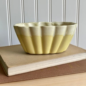 May include: A yellow and white ceramic planter with a fluted design. The planter is sitting on top of two books.