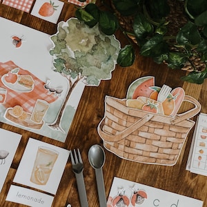 Picnic Activity Unit, Ants Montessori unit, nature flashcards, homeschool spring nature unit, preschool hands on activity, summer activity