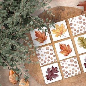 Val Matching Game, Peuter Montessori Activiteit, Preschool Natuur Match Activiteit, Homeschool Herfst Activiteit, Herfststudie, Charlotte Mason