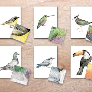 Cartões de correspondência de padrões de pássaros, padrões de animais, pássaros montessori, cartões de estudo da natureza, atividade científica montessori, estudo da natureza da unidade de pássaros