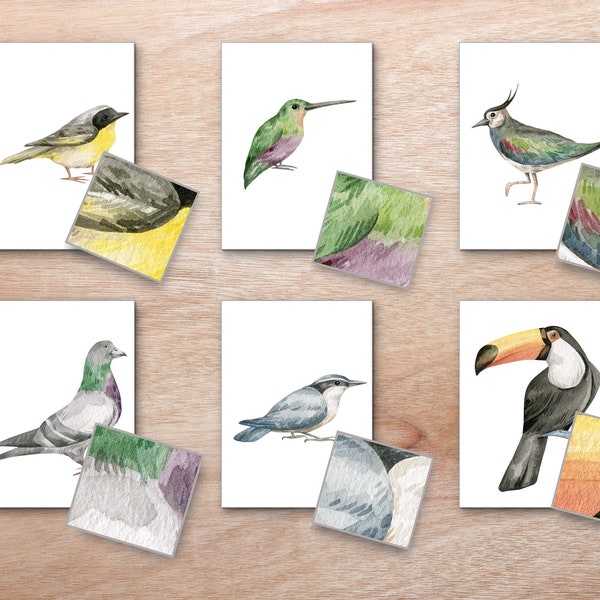 Birds Pattern Matching Cards, Animal Patterns, Montessori Birds, Nature Study Cards, Montessori Science Activity, Bird Unit nature Study