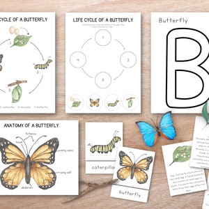 Butterfly Unit Study Bundle, Educational Posters, nature Study, Homeschool Learning Materials, Spring Montessori Lessons