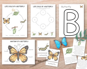 Butterfly Unit Study Bundle, Educational Posters, nature Study, Homeschool Learning Materials, Spring Montessori Lessons