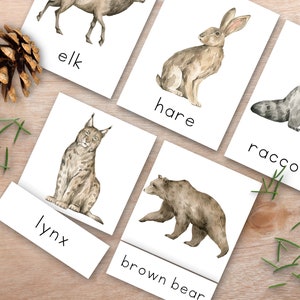 Forest Animal Flashcards Language Cards, 3 Part Montessori Nomenclature Cards, Homeschool Activities, Toddler Puzzle, Match game