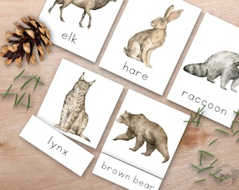 Waldtier Lernkarten Sprachkarten, 3 Teil Montessori Nomenklatur Karten, Homeschool Aktivitäten, Kleinkind Puzzle, Match Spiel