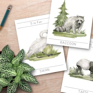 Tarjetas flash imprimibles del alfabeto animal ABC, arte en el aula, animales de acuarela, tarjetas flash de letras Montessori, tarjetas del alfabeto de la naturaleza, póster