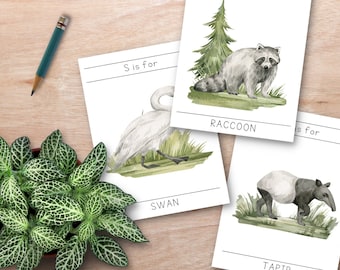 Tarjetas flash imprimibles del alfabeto animal ABC, arte en el aula, animales de acuarela, tarjetas flash de letras Montessori, tarjetas del alfabeto de la naturaleza, póster
