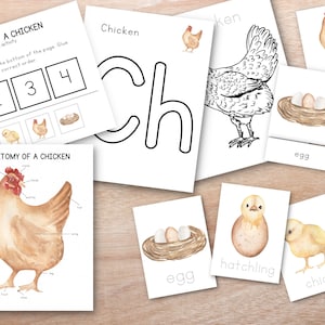 Chicken Unit Study Bundle, Chicken Life Cycle, nature Study, Homeschool Learning Materials, Spring Montessori Lessons, Homeschool Unit