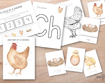Chicken Unit Study Bundle, Chicken Life Cycle, nature Study, Homeschool Learning Materials, Spring Montessori Lessons, Homeschool Unit