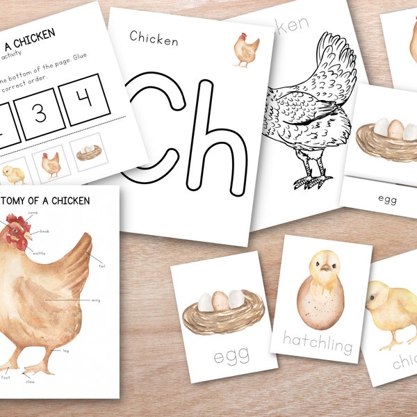 Chicken Unit Study Bundle, Chicken Life Cycle, nature Study, Homeschool Learning Materials, Spring Montessori Lessons, Homeschool Unit