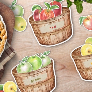 Apple Color Matching Game, Peuter Montessori Activiteit, Preschool Apple Wiskunde, Montessori Sorteren, Homeschool Herfst Activiteit, Apple Studie