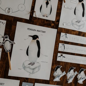 Paquete de estudio de unidades de pingüinos, estudio de pingüinos, ciclo de vida de pingüinos, unidad Montessori de invierno, unidad de naturaleza de educación en el hogar, tarjetas didácticas de pingüinos de 3 partes
