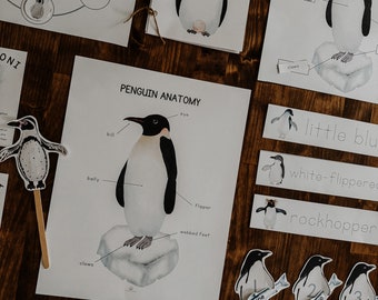 May include: A set of educational printable worksheets about penguins. The worksheets include a penguin anatomy diagram, a life cycle chart, and a penguin diet activity. The worksheets are printed on white paper with black ink.