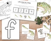 Frog Unit Study Bundle, Nature Study, Homeschool Learning Resource, Spring Montessori Lesson, Spring Bundle, Language Cards