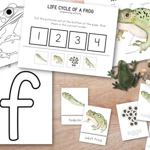 Frog Unit Study Bundle, Nature Study, Homeschool Learning Resource, Spring Montessori Lesson, Spring Bundle, Language Cards